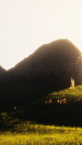 green meadow on the background of the mountains