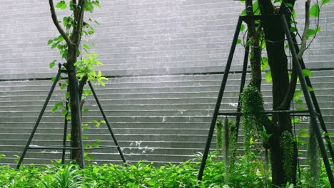 exploring the lush greenery thriving in an urban park setting illustrating nature's resilience.