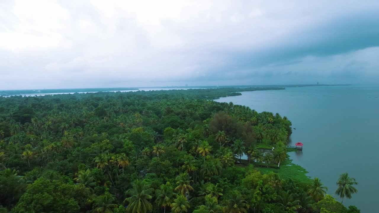 Aerial View of Tropical Coastline with Palm Trees and Lake