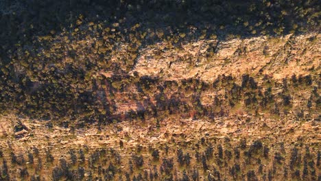 topdown view along jarvis hill landscape, rocky forested cliff, south australia