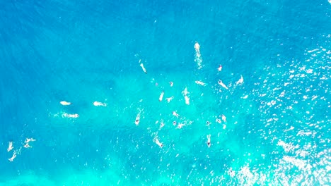 Large-group-of-people-snorkel-and-swim-on-turquoise-sea-over-pattern-of-rocky-seabed,-water-reflecting-sunlight-in-Bora-bora