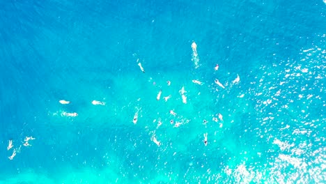 large group of people snorkel and swim on turquoise sea over pattern of rocky seabed, water reflecting sunlight in bora bora