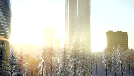 City-and-Forest-in-Snow