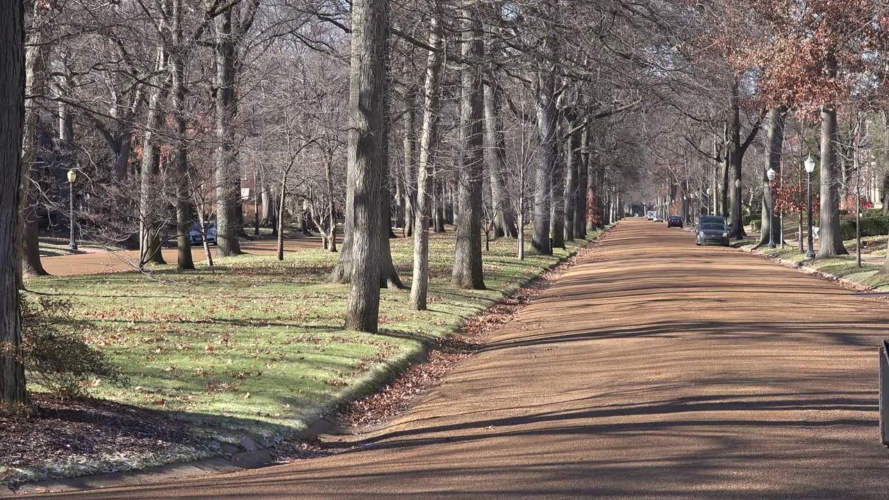 나무가 늘어선 거리는 세인트루이스 미주리 1의 부유한 동네를 정의합니다.