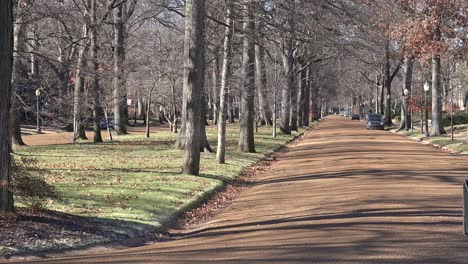 Von-Bäumen-Gesäumte-Straßen-Definieren-Ein-Wohlhabendes-Viertel-In-St.-Louis-Missouri-1