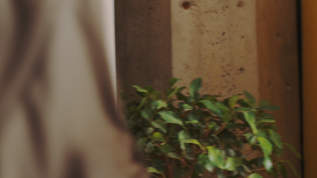 puesto de trabajo independiente, empresario o coworking