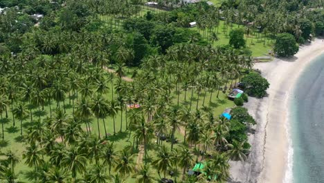 costa de playa de arena blanca vacía en lombok con campo de cocoteros tropicales, antena