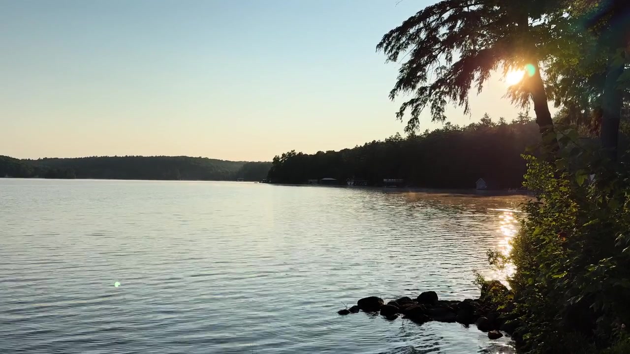 Vista statica della calda luce solare sull'acqua calma del lago e sulla riva boscosa di Muskoka.