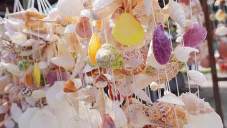 beautiful seashell wind chimes