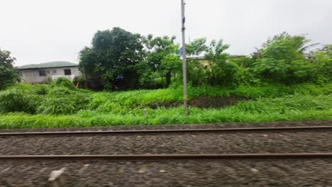 greenery hyper laps view from train window
