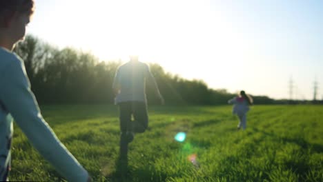 happy parenting. father is spending time with two children. girls are running on a meadow with his dad. touch and run game. laughing. sunny day