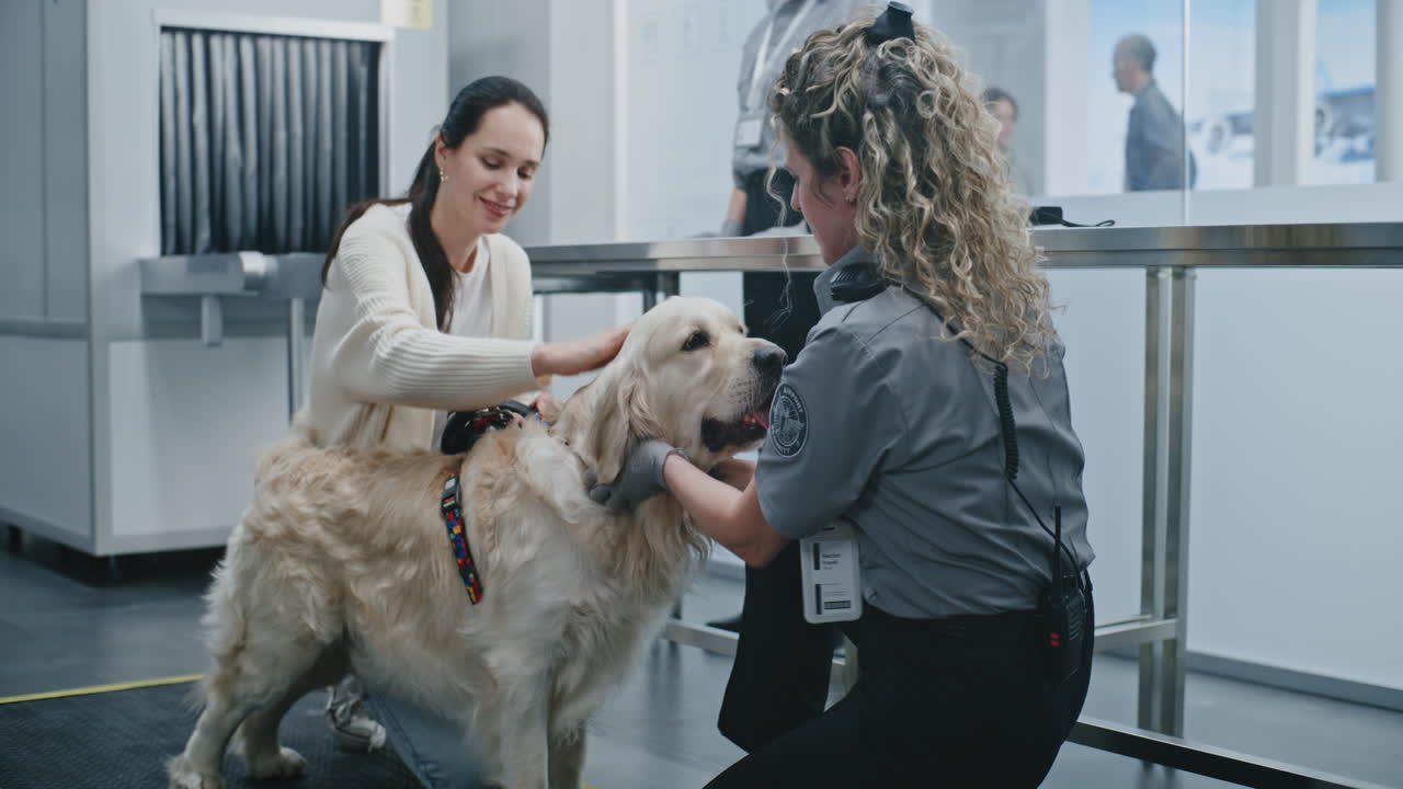 Dog Inspection at Airport Security