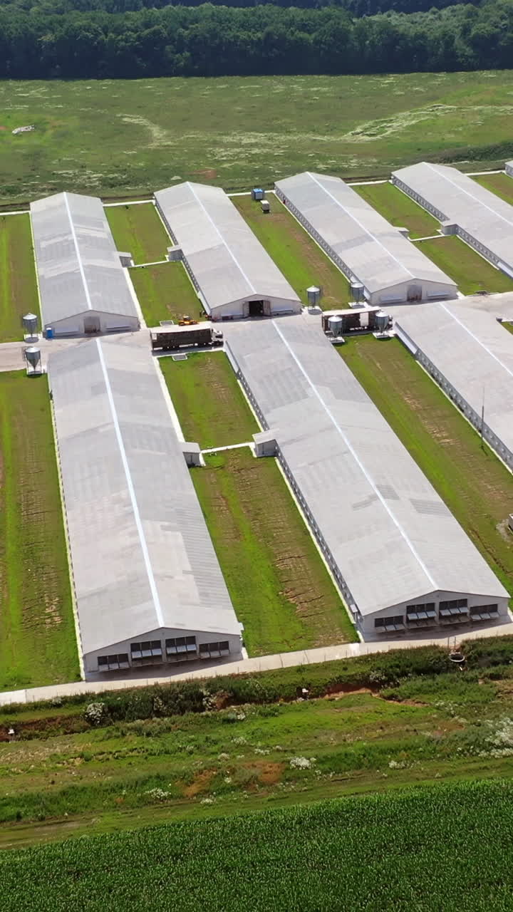 Aerial view over big agricultural farm. Complex of white buildings poultry farm from above Vertical video