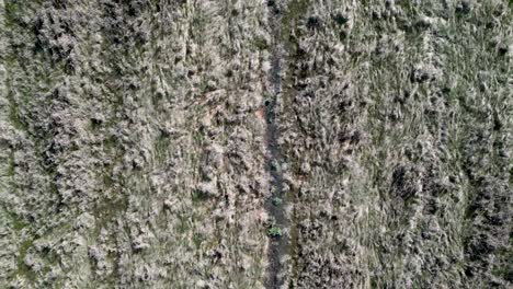 videos de drones de 4k del estanque de invierno de rehovot, la vida aislada de la temporada de lluvias, antes de la inundación, rehovot israel
