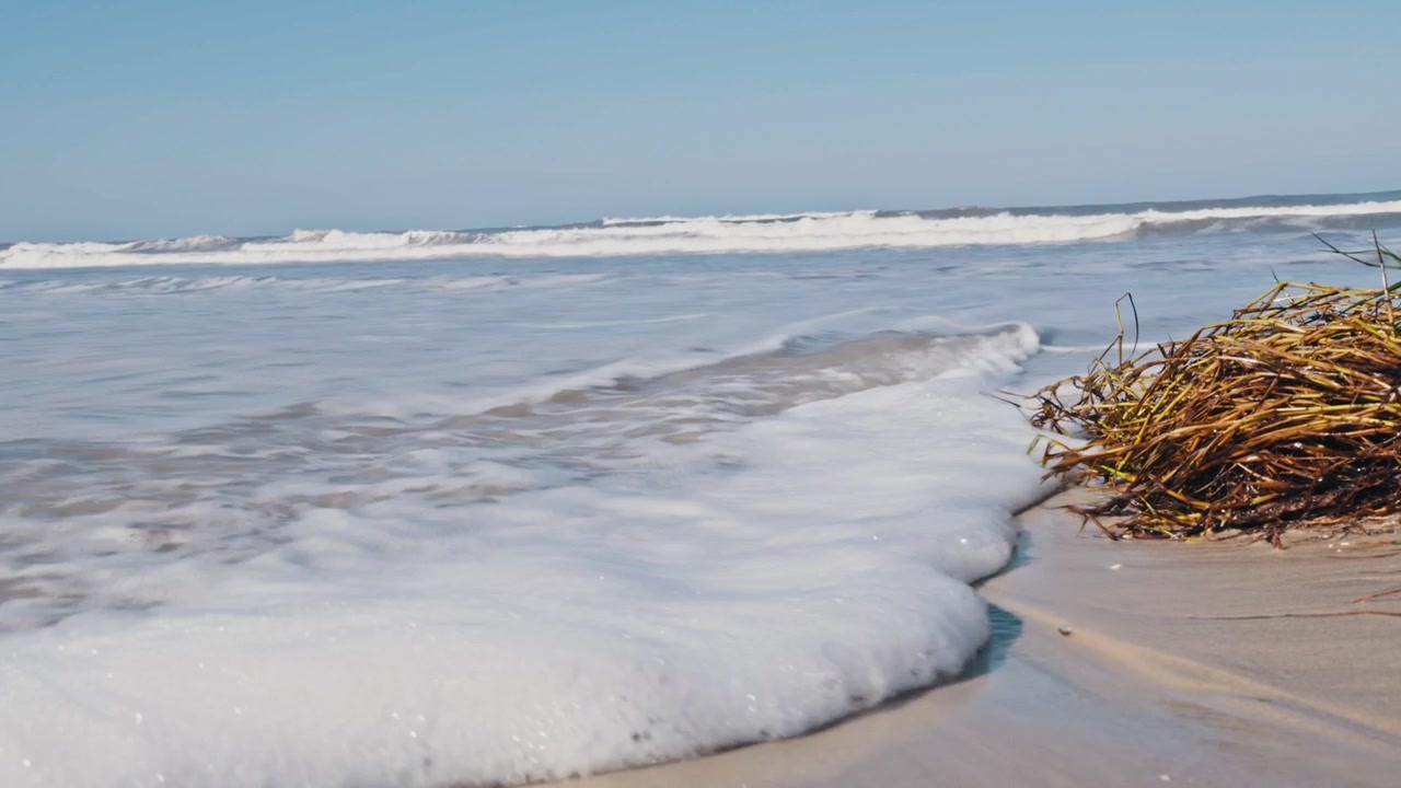 A low-angle, static shot captures gentle ocean waves rolling onto a sandy beach, creating foamy patterns around a pile of seaweed. This serene scene is perfect for travel promotions, nature documen...
