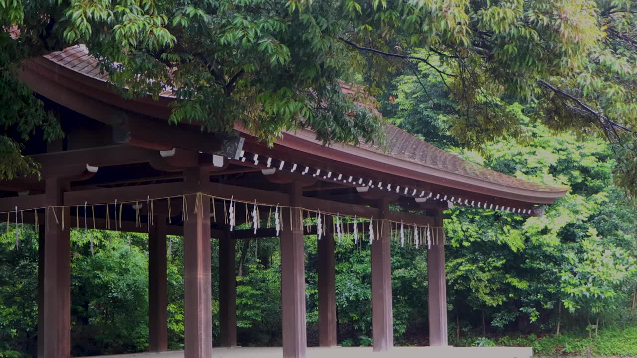 도쿄 최고의 전망