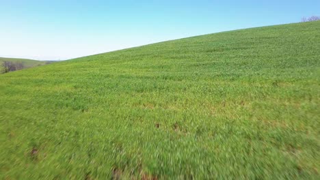 forward low flying aerial shot over green fields in greece during spring