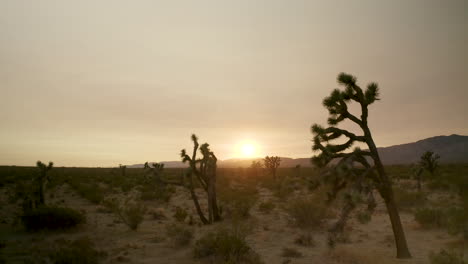 Sale-El-Sol-En-Un-Día-Caluroso-En-El-Desierto-De-Mojave-Del-Sur-De-California---Dolly-Forward