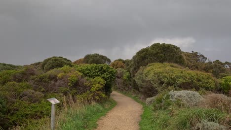 path through lush greenery under cloudy skies