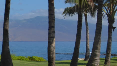 A-Pan-Across-Palm-Trees-And-A-Beautiful-Bay-In-Hawaii