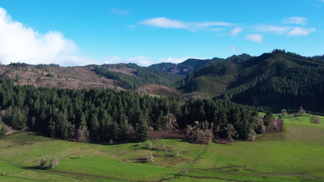 Bellissima ripresa aerea 4K con drone che domina un paesaggio di alberi nell'Oregon meridionale