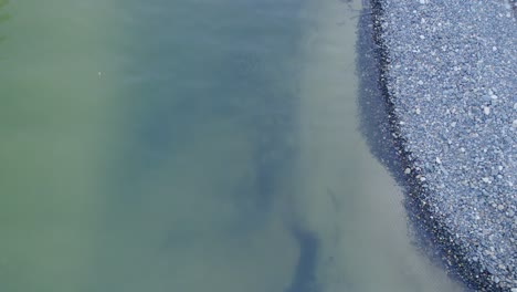 Quiet-Rivershore-Of-Cape-Tribulation-In-Daintree-Rainforest,-Queensland,-Australia