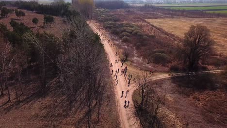 aerial view of a group of people walking and exercising their dogs, on a country road