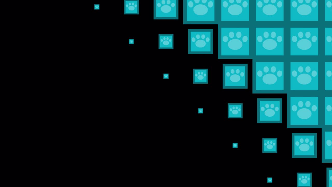 Teal Paw Print Pattern
