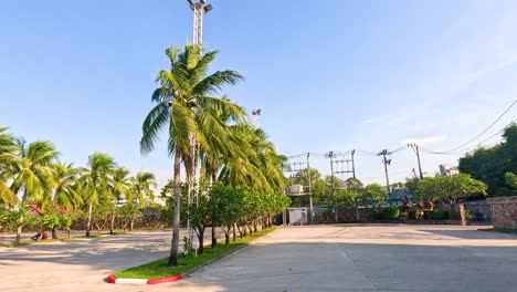 las palmeras se balancean suavemente bajo un cielo azul claro en chonburi, tailandia. la escena captura un ambiente tropical sereno con una luz diurna brillante