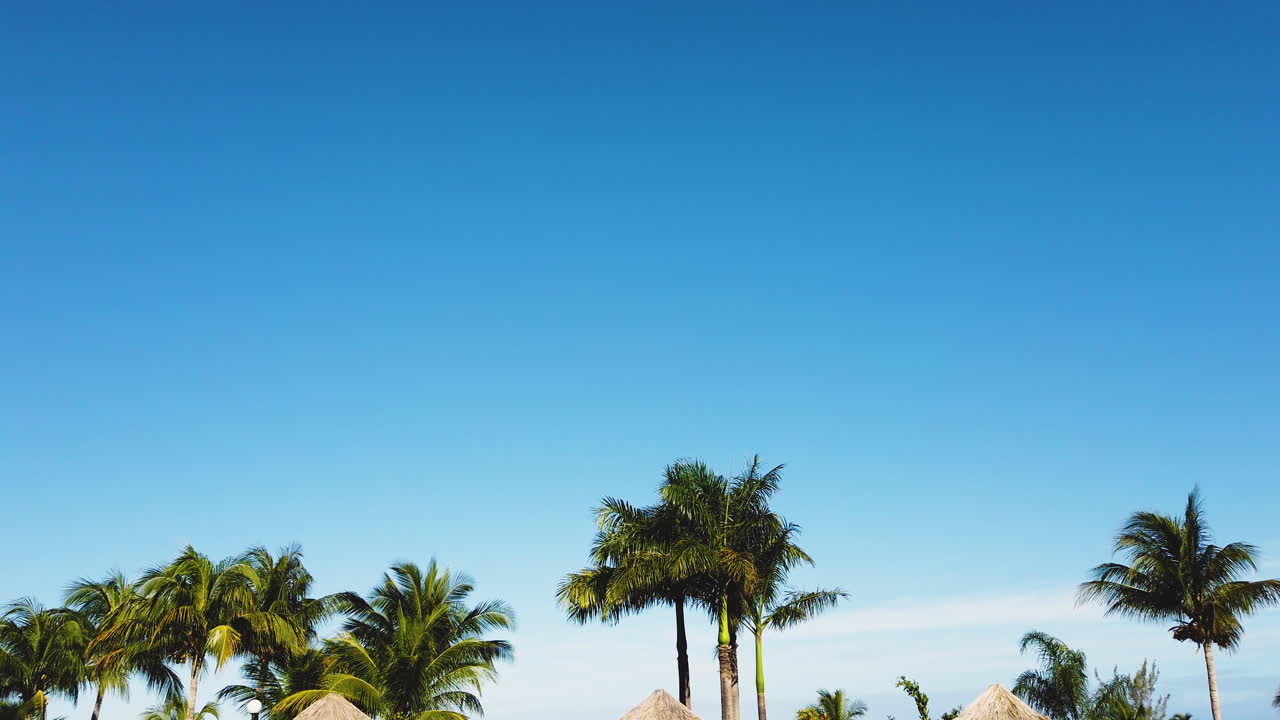 Line of palm trees under a vibrant blue sky in Jamaica, tropical charm and serenity