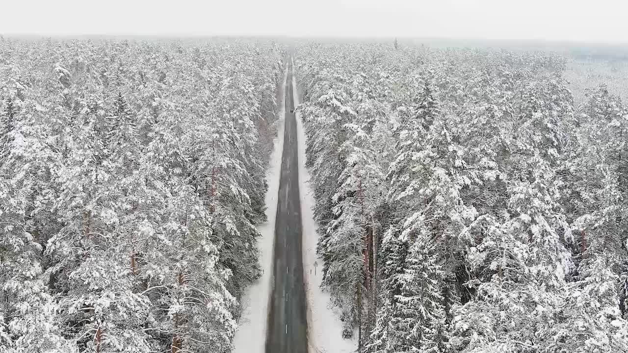 겨울철 끝없는 숲길을 달리는 자동차, 공중 전망