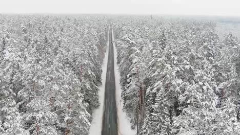 Car-driving-on-endless-forest-road-in-winter-season,-aerial-view