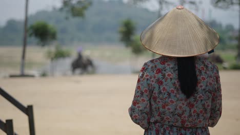 woman watching tourists riding elephants