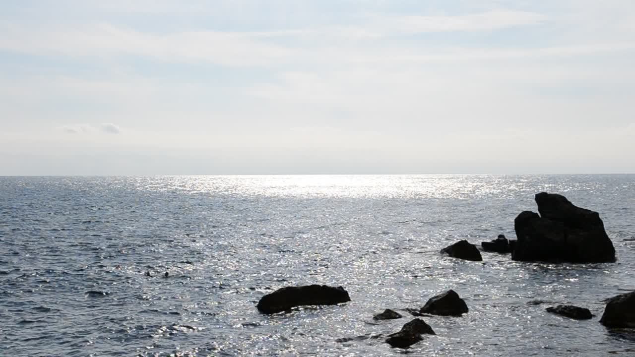 海