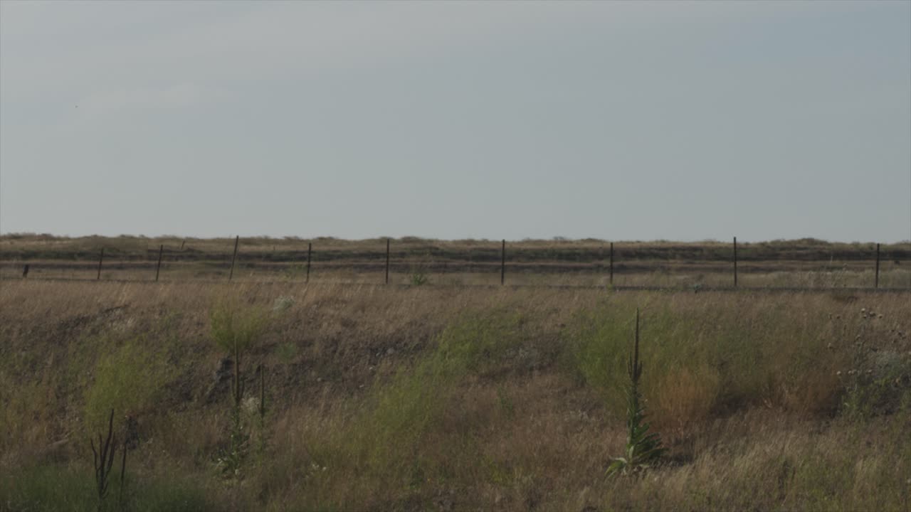 dry desert rocky grassland landscape. flat shot of fence