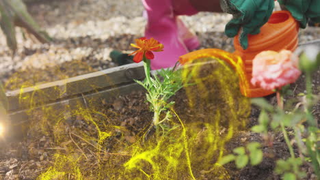 watering flowers in garden, glowing yellow particles animation surrounding plants