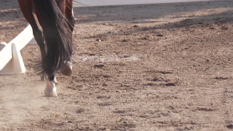 Closeup-of-the-legs-of-a-horse-trotting-in-equestrian-competition-arena