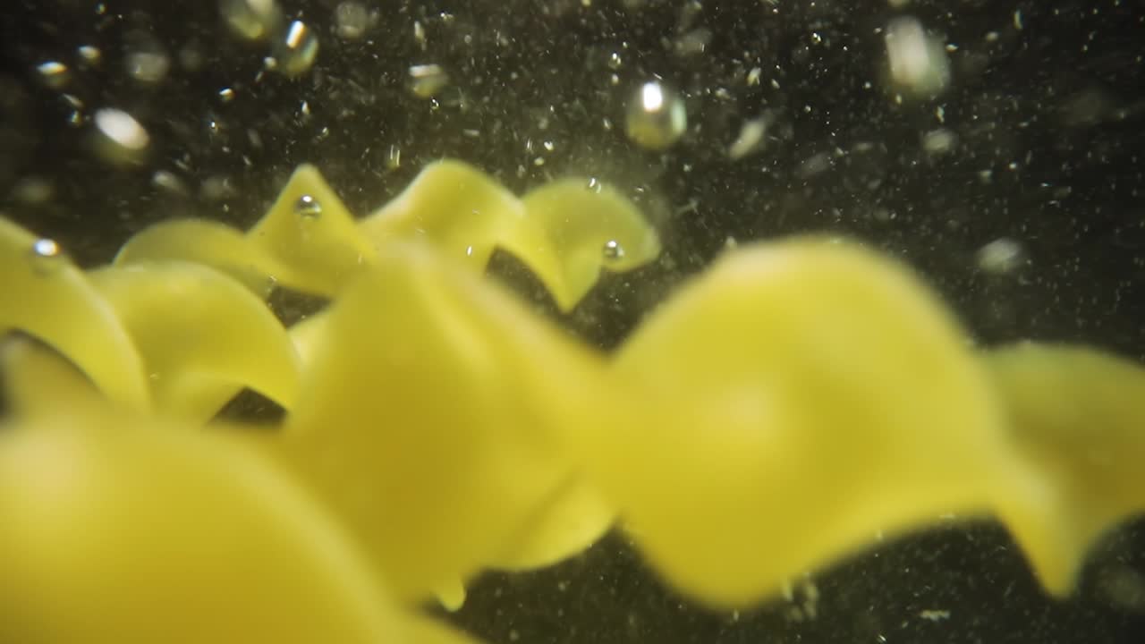 푸실리 파스타가 물에 떨어집니다.