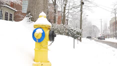 profile shot of a toronto fire hydrant on the side of a road during an intense snow fall