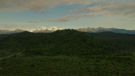 Green-hill-with-native-New-Zealand-bush-near-Fox-Glacier-on-cloudy-day