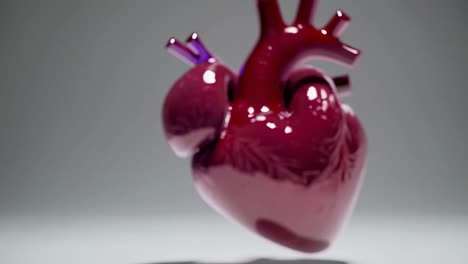 3d rendered heart - red and metallic versions
