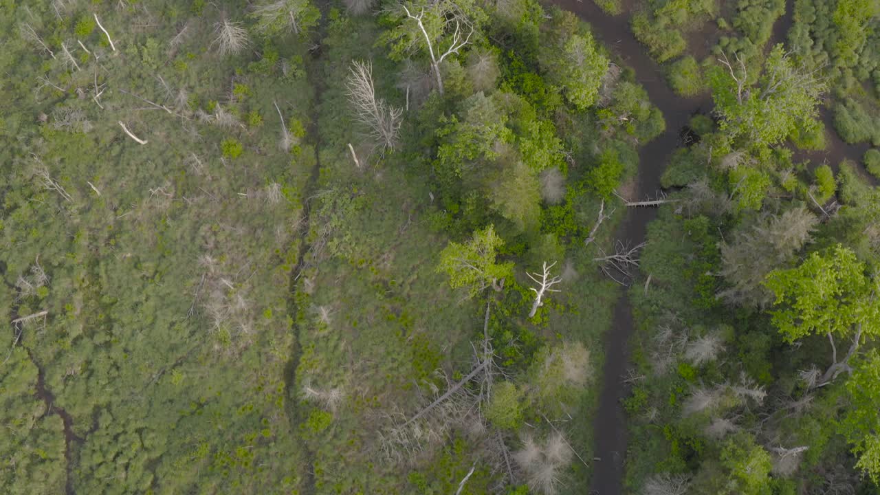 vista aérea de arriba hacia abajo de los agradables afluentes del río