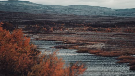 drive in the windswept autumn tundra