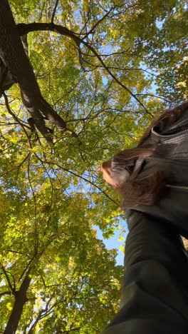 autumn day in the woods