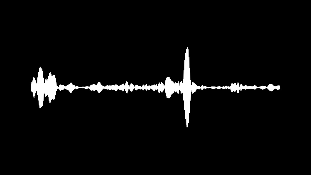 Visualizzazione dinamica di una forma d'onda audio bianca su sfondo nero.