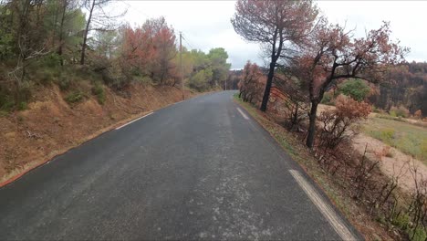 The-damage-caused-by-wild-fires,-cycling-through-a-rural-part-of-the-South-Of-France-shortly-after-a-wild-fire,-amazing-scorched-landscape