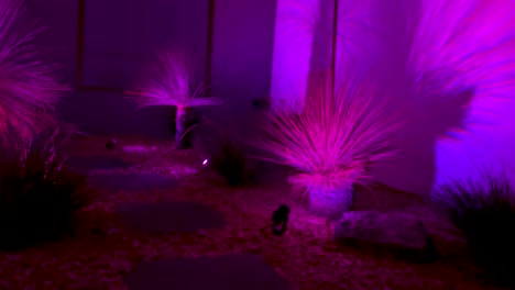 luces vibrantes iluminan las plantas del jardín por la noche