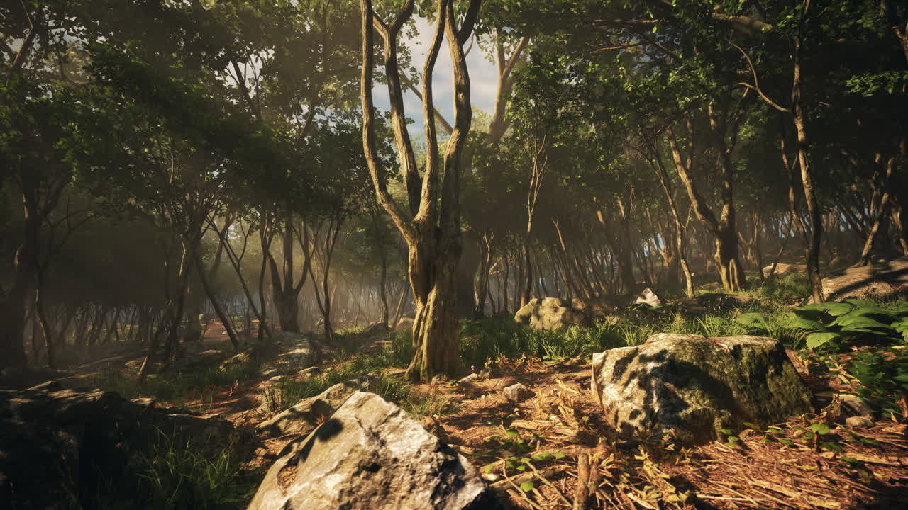 bosque encantado en luz mágica