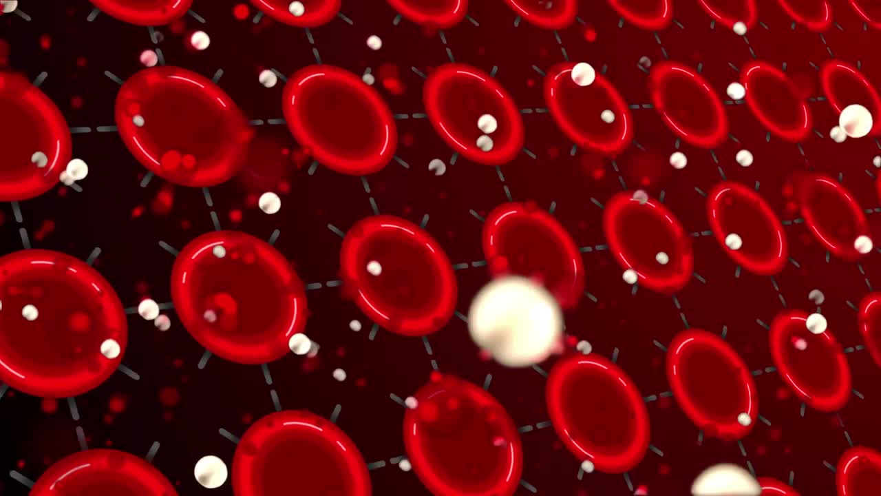 어두운 빨간 바탕에 분홍색 빨간색 위의 점들의 애니메이션