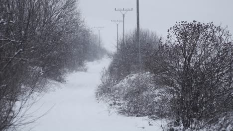 Verschneite-Straße-Mit-Sträuchern-Und-Stromleitungen-Und-Schnee,-Der-In-Zeitlupe-Durch-Den-Rahmen-Fällt